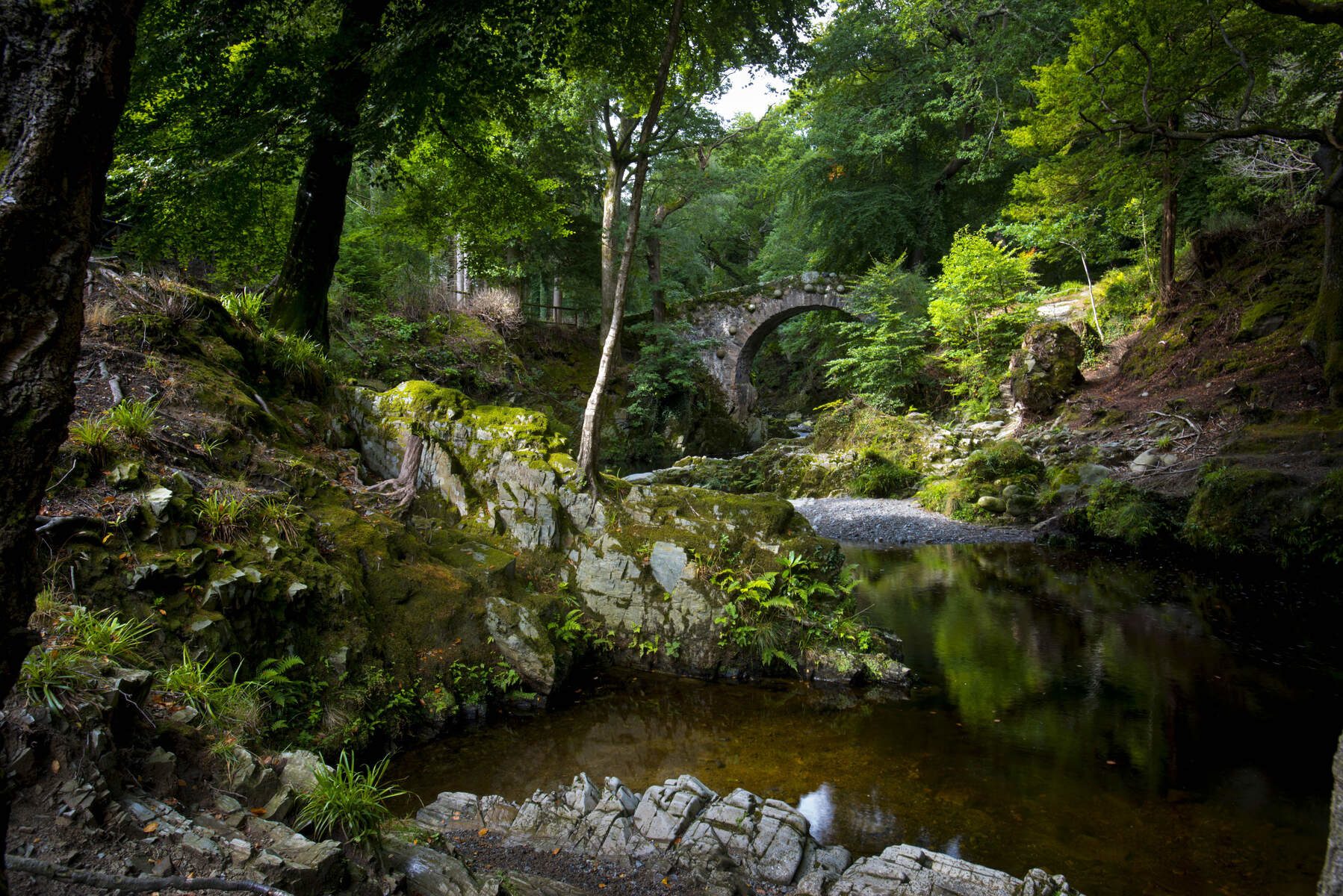 Парк Толлимор в Ирландии